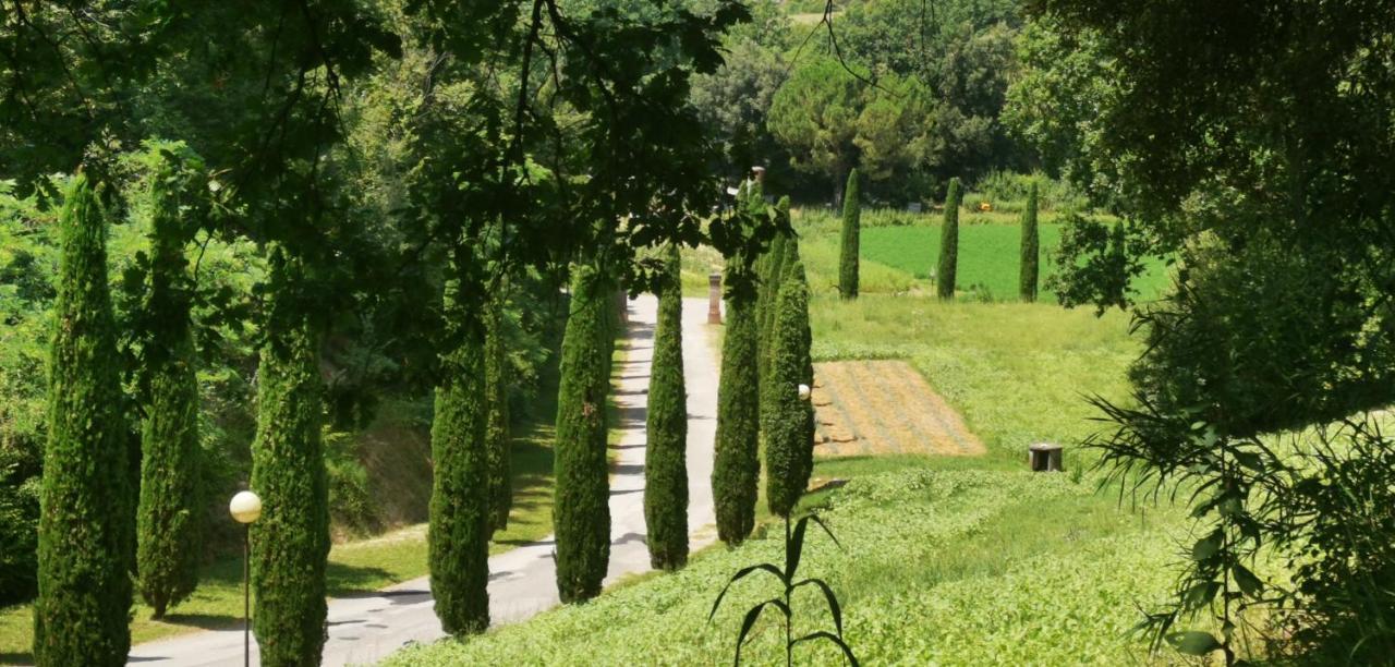 Cascina Cipressa San Romano (Pisa)