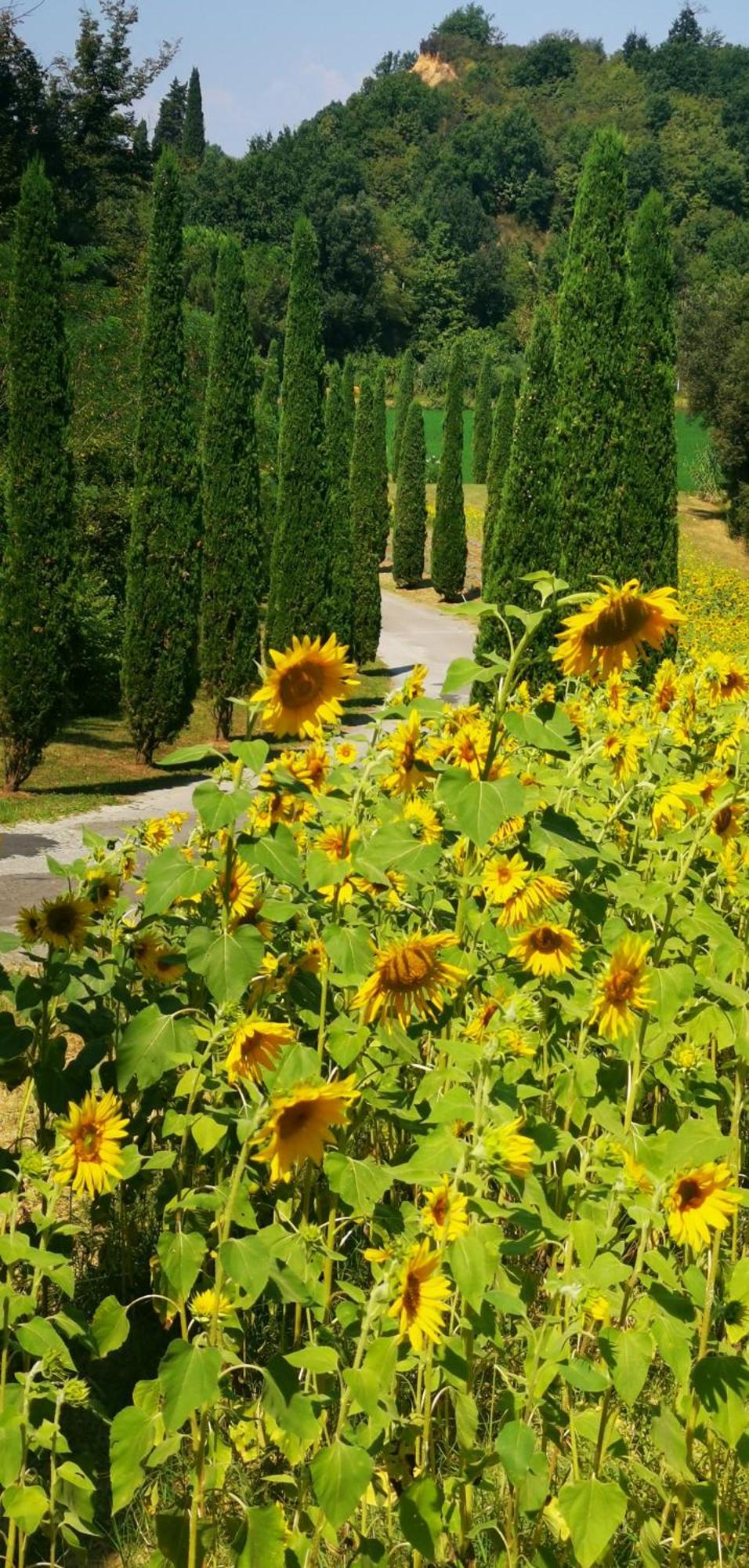 Cascina Cipressa 3*