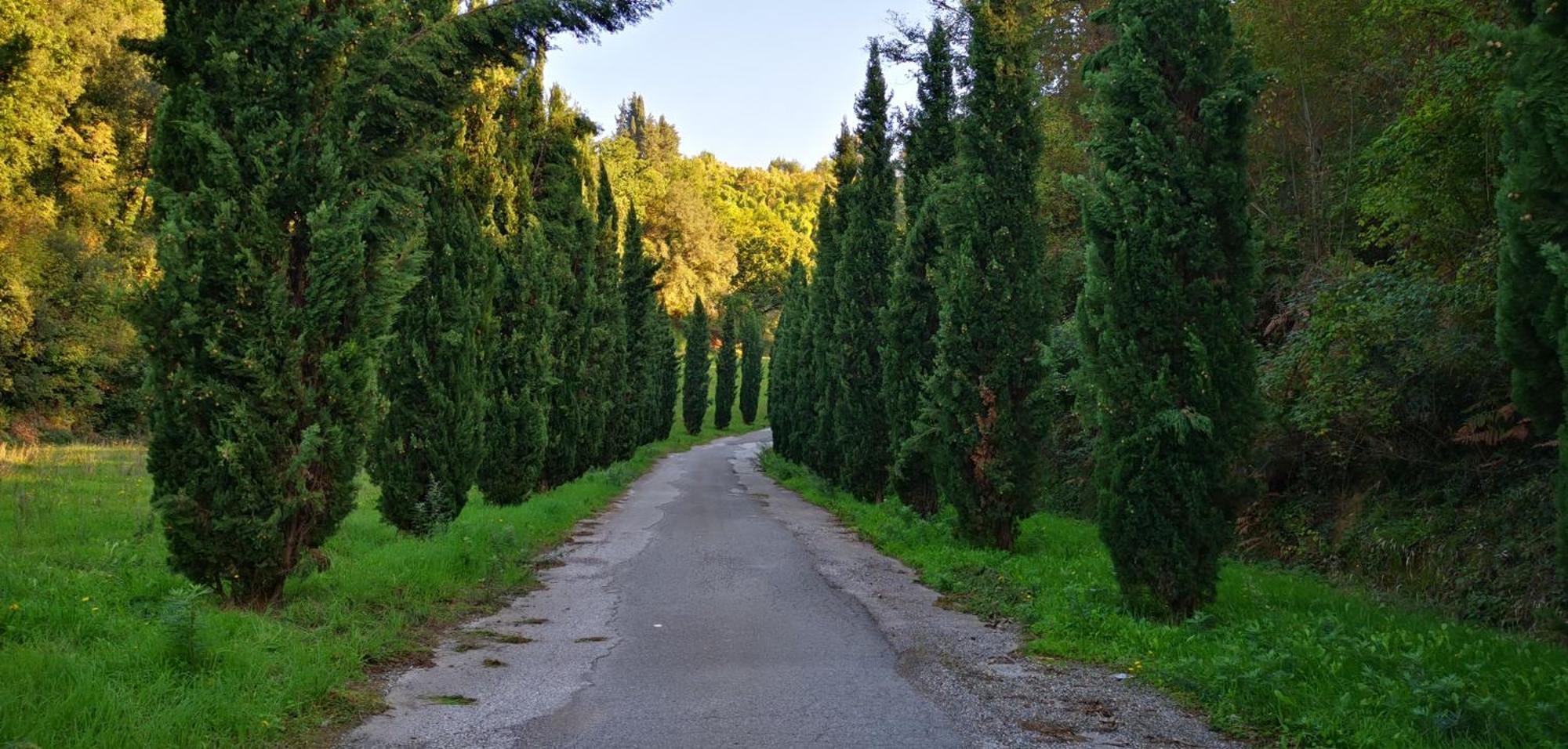 Cascina Cipressa 3* San Romano (Pisa)